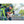 ExtremeMIST GoMist Misting Water Bottle