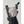Hestra CZone Mountain - 3 Finger Gloves