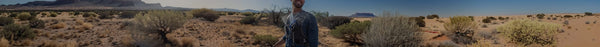 Panoramic desert landscape with a smiling man in a blue shirt and backpack, surrounded by sparse dry bushes and distant mountains under a bright sky.