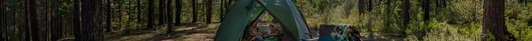 A woman breastfeeds a child and a man looks at a device inside a green tent in a sun-dappled forest, surrounded by tall trees.