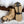 Action Traction Hiking Ice Cleat Crampons