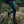 FjallRaven Women's Abisko Trekking Tight HD
