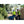 ExtremeMIST Hi-Vis Misting Vest