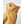 Hestra Men's Daniel Leather Gloves