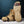 Action Traction Quick Cleats