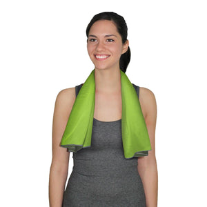 AlphaCool Mesh Instant Cooling Towel (2-Pack)