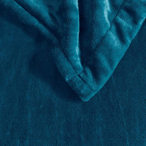 Beautyrest Heated Plush Blanket - Full