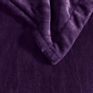 Beautyrest Heated Plush Blanket - Full
