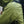 Black Diamond Men's Highline Stretch Shell Jacket