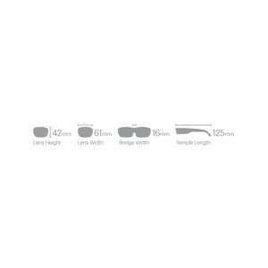 Smith Optics Arvo Sunglasses ChromaPop Polarized Brown - Matte Tortoise Frame