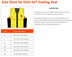 Ergodyne 6685 Chill-Its Evaporative Dry Cooling Vest