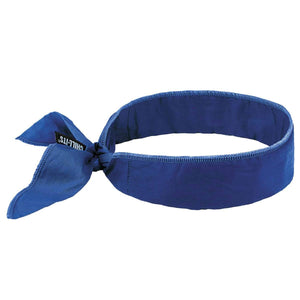 Ergodyne Chill-Its 6702 Cooling Bandana - Polymer Embedded Batting Material