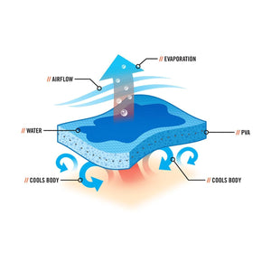 Evaporative Cooling Hard Hat Pad by Chill-Its, a diagram showing water evaporating from PVA material for cooling.