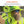 Ergodyne Chill-Its Ranger Hat with Neck Shade