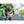 ExtremeMIST GoMist Misting Water Bottle