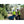 ExtremeMIST Hi-Vis Misting Vest