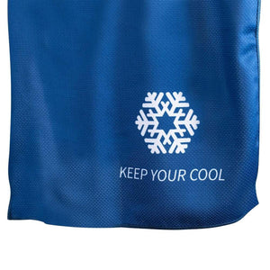 Gobi Heat Chillwave Hooded Cooling Towel