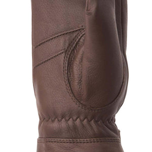 Hestra Sundborn Gloves (chocolate, Size 9)