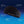 Mission Cooling Tapered Headband