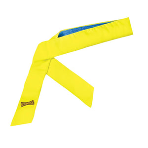 Occunomix Miracool PVA Headband
