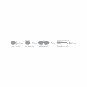 Sunglasses, depicted as grey silhouettes by Smith Optics, showing dimensions: lens height 42mm, lens width 62mm, bridge width 17mm, temple length 120mm.